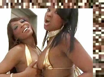 Hot black lesbians lick nipples