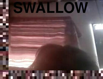 69 swallow