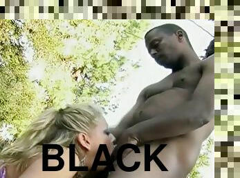 Stunning Chelsea Zinn sucks big black cock in a park