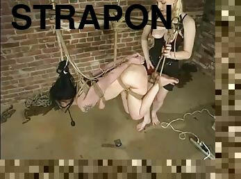 strapon, skønheder, bdsm, slave, bondage, elskerinde, ydmygelse, pragtfuld