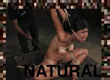 Natural black titties tied up tight and suffering