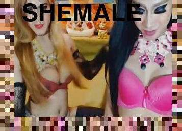 Hot Shemale Fucks her Shemale Friend on Cam