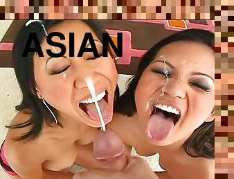 Asian girls double suck then share his cum like good girls should