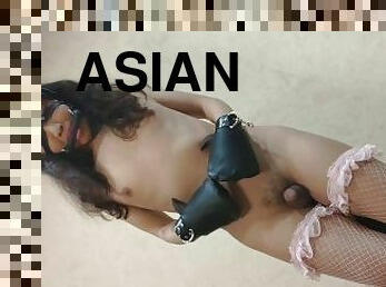 asiatique, cul, jouet, ladyboy, bas, culotte, danse