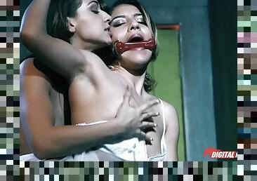 Kinky babes in memorable porn scene