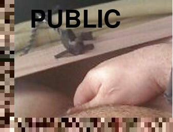 klitoris, hårete, onani, offentlig, amatør, buss, alene, ekshibisjonist