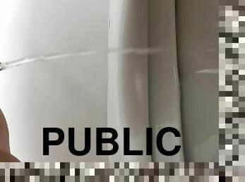 Must pee on public toilet