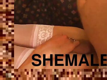 shemale, tranny