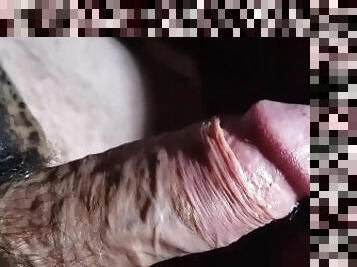 Musky Dick close up 2018