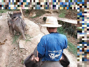 Elephant riding in Thailand with teen couple who had sex afterwards