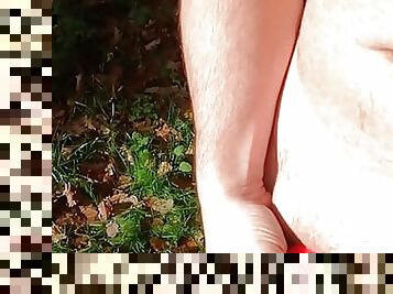 outdoor wank