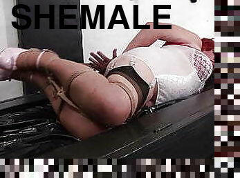 travestit, muie, transexual, bdsm, bondage, amanta, dominare