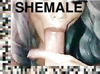 shemale, suihinotto-sucking