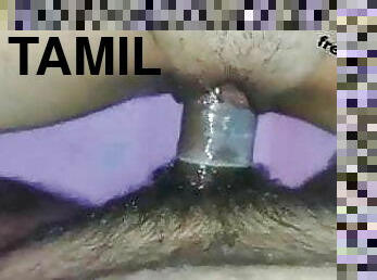 Tamil coule