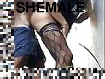 shemale, anal, latina