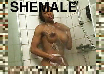Shemale 338