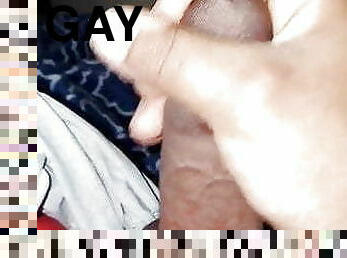 gay