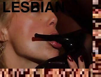 Seductive lesbian cougars in stockings enjoying caressing their fake tits in close up shoot