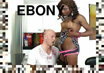 An ebony shemale gets her ass fucked by a hung white guy