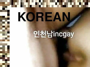 Korean gay