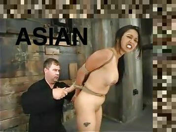 Gorgeous and petite Asian siren Mika Tan is in perversions