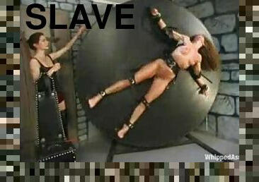 bdsm, esclave, sale, humiliation