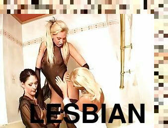 Three captivating lesbians play with each other's vags in a bathroom