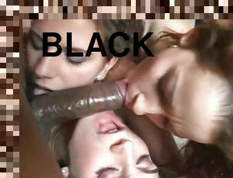 Three slutty brown-haired chicks get pounded by Black guy