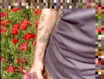 In the poppy field: OUTDOOR public JERK off, CUM and PISS in the countryside