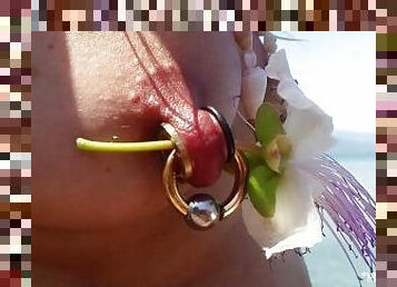 nippleringlover naked public beach pierced pussy & large gauge nipple piercings & nice feet close up