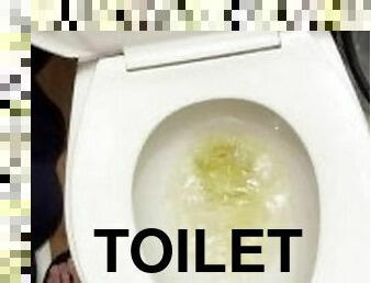 Quick piss in the toilet