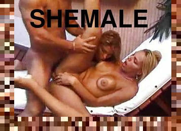 shemale, pieprzenie