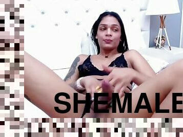 masturbation, transsexuelle, énorme-bite, travesti, ladyboy, secousses, webcam, solo