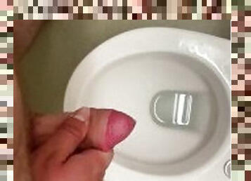 11cm penis squirts into the hotel toilet