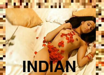 Desi Desires Bollywood Lust