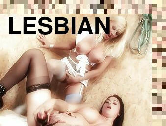 Lesbian pornstars Jodi James and Michelle Thorne have kinky sex
