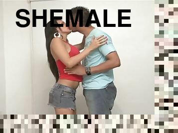 Shemale Gets her Titties Licked and Her Butthole Fucked