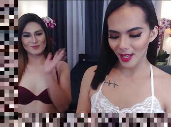 This Two lovely shemales suck and fuck each other on live free webcam show.