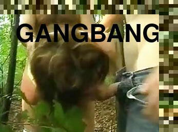 Swiss gangbang in the forest