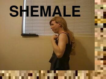 Shemale virtual strip tease