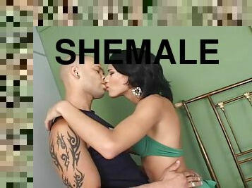 A guy hooks up with a shemale and they fuck each other silly