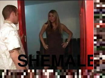 Shemale in pretty dress gives him a blowjob