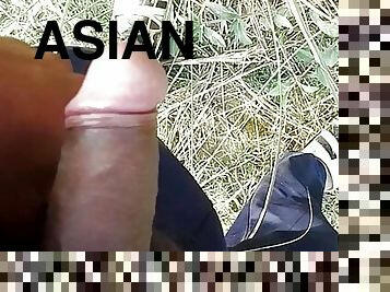 asyano, mataba-fat, puwetan, laruan, bakla, masahe, pagtitipon, pagkaisahan, bbw, bata18