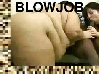 Bbw interracial blowjob
