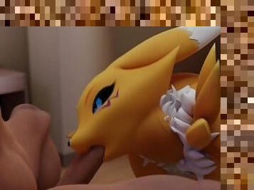 Renamon having sex