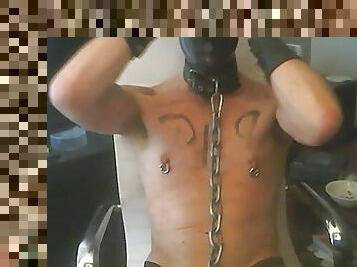 Pig - Hooded, Collared n Chained