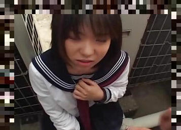 Japanese schoolgirl sucks cock Uncensored