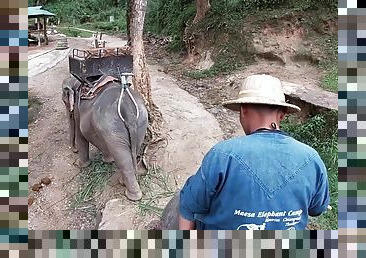 Elephant riding in Thailand with teens