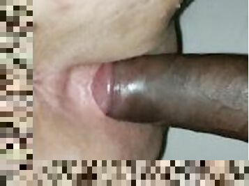 coño-pussy, amateur, interracial, negra, cabalgando, blanca, húmedo, polla