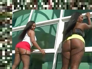 Big ass black girls in skirts and fishnets